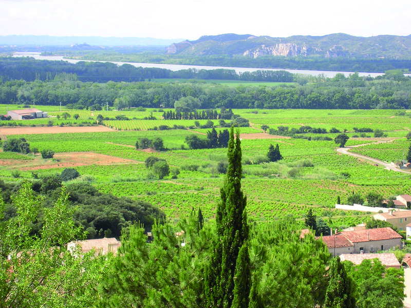 Vue depuis Château des Papes