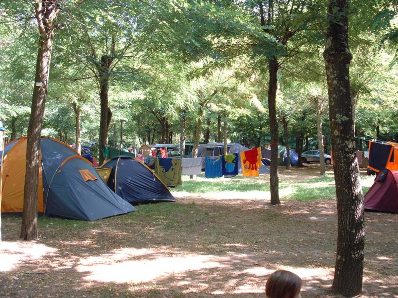 Barque Campsite