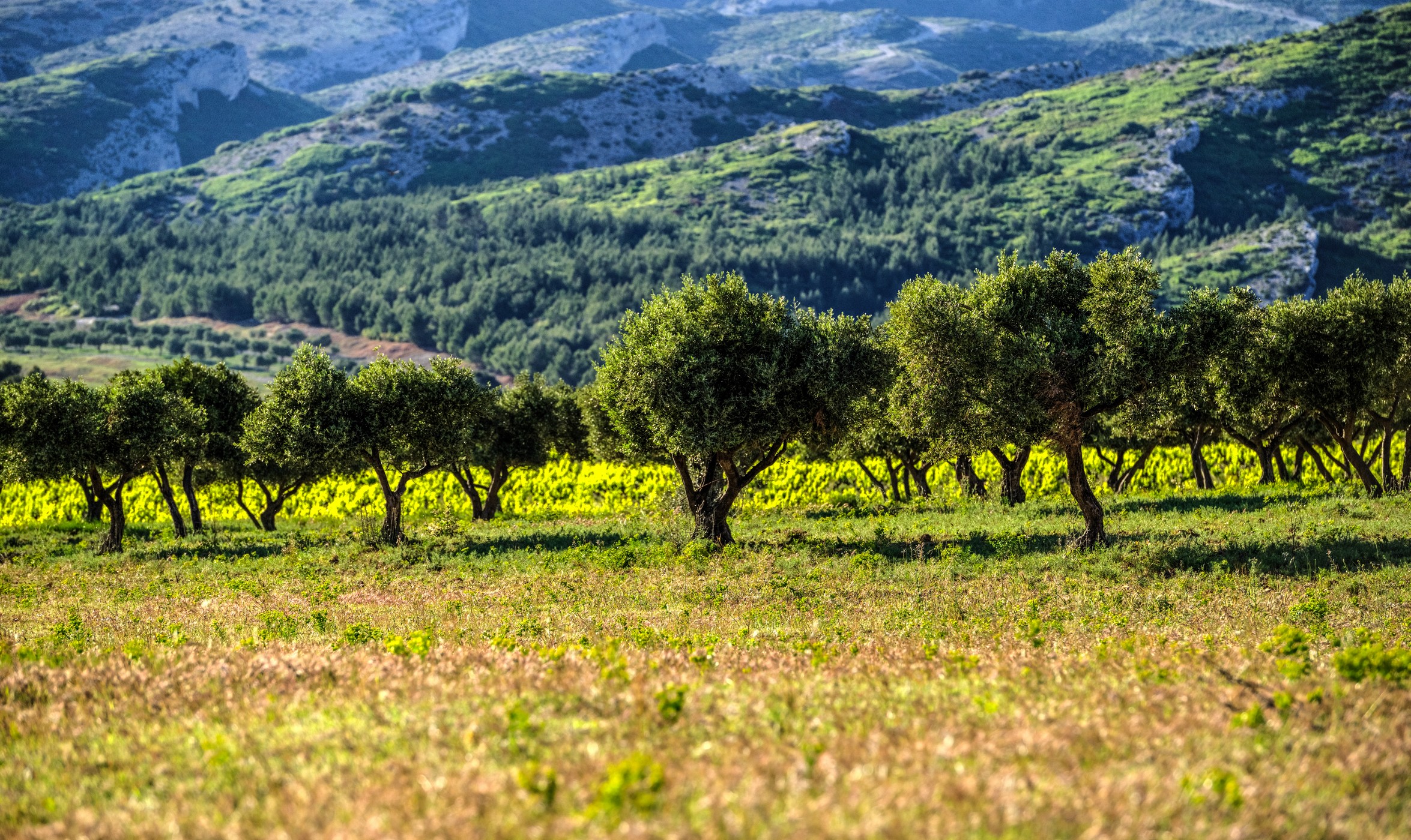 Domaine de Lauzières