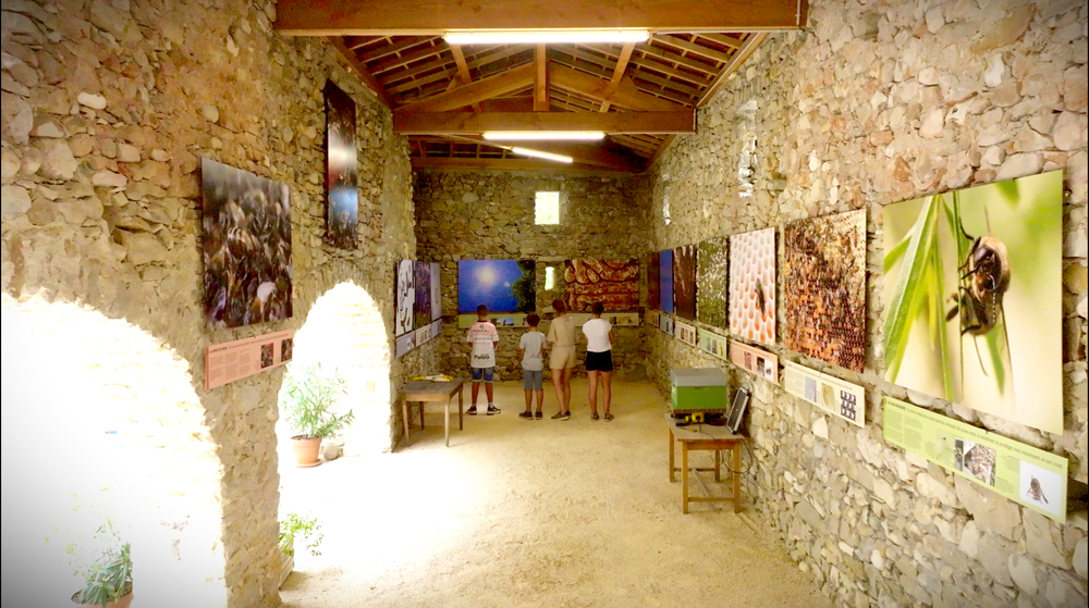 Exposition permanente Le Génie des Abeilles