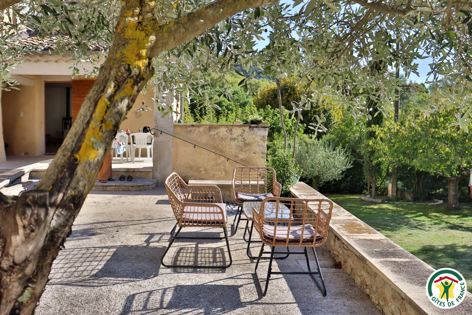 Cour avec salon de jardin sous les oliviers