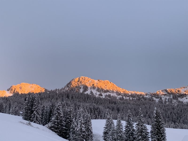 Restaurant Gautard Chez Nathalie et Jean-Claude