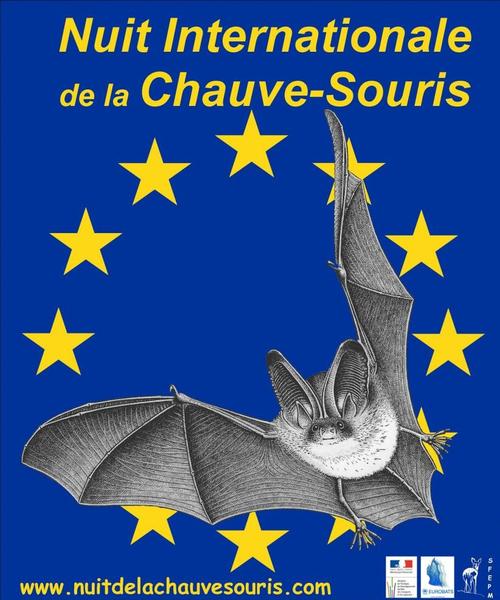 Conférence - à la découverte des chauves-souris - © SFEPM-Eurobats Nuit internationale de la Chauve-souris - © SFEPM-Eurobats