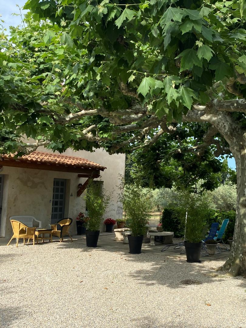 Les Oliviers, Saint-Rémy-de-Provence - photo 15