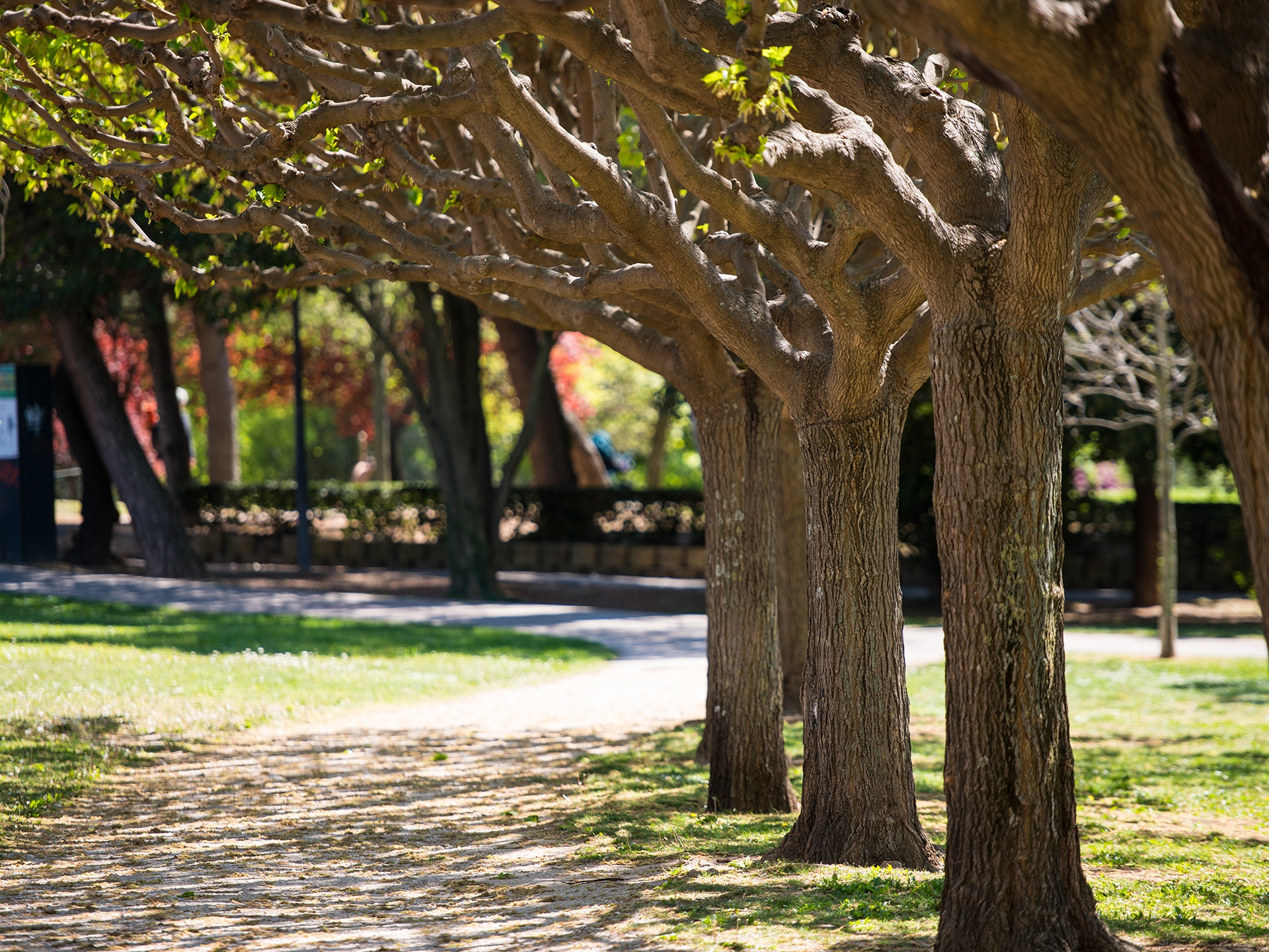 Parc Jourdan - photo 3
