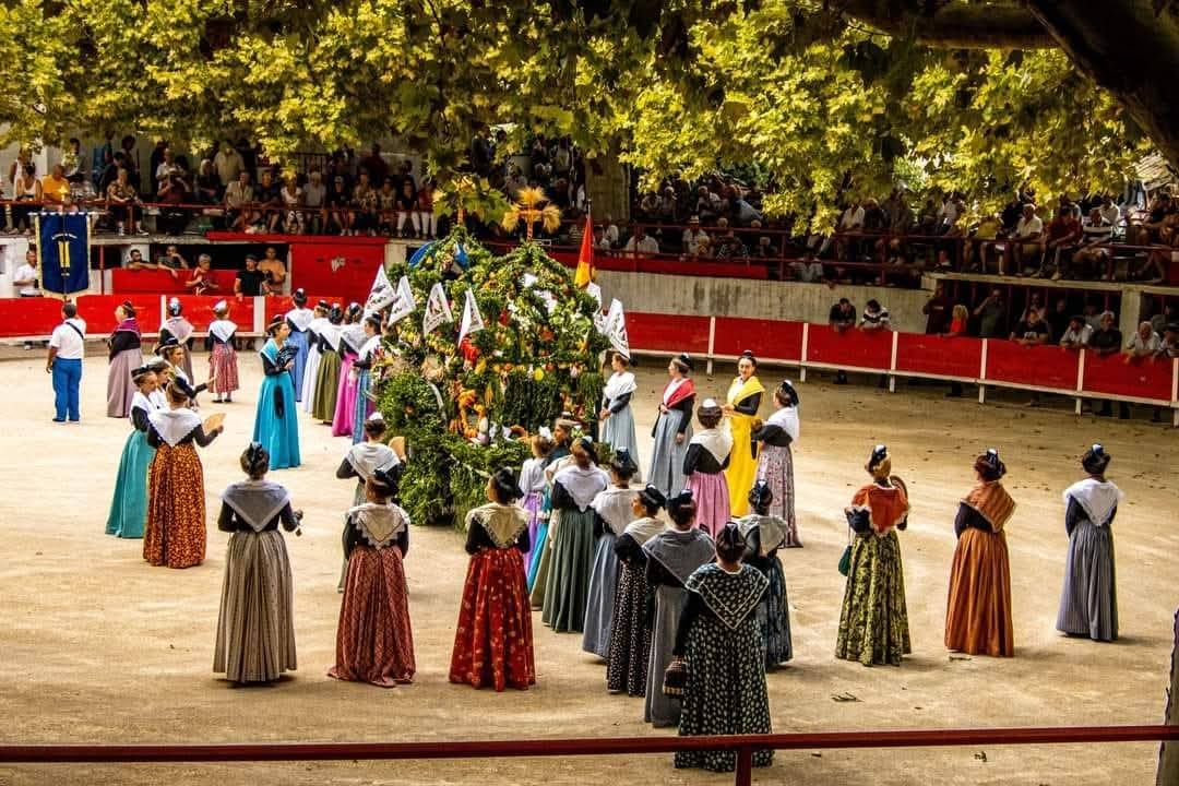 Arènes Francis Chaine - Paluds de Noves - photo 2