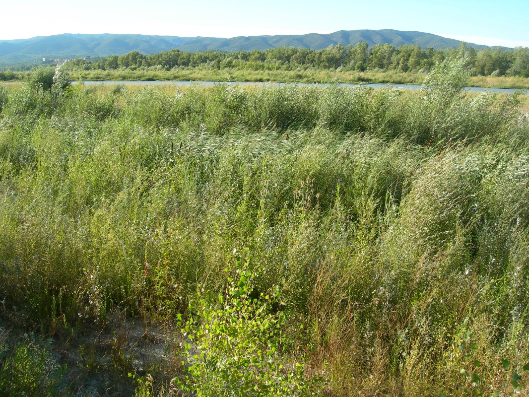 La Roque d'Anthéron - Sentier des Iscles