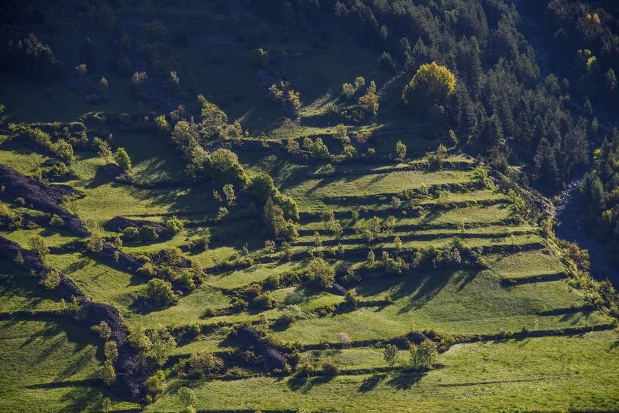 Les petits explorateurs et les terrasses d'Hercule_Réallon