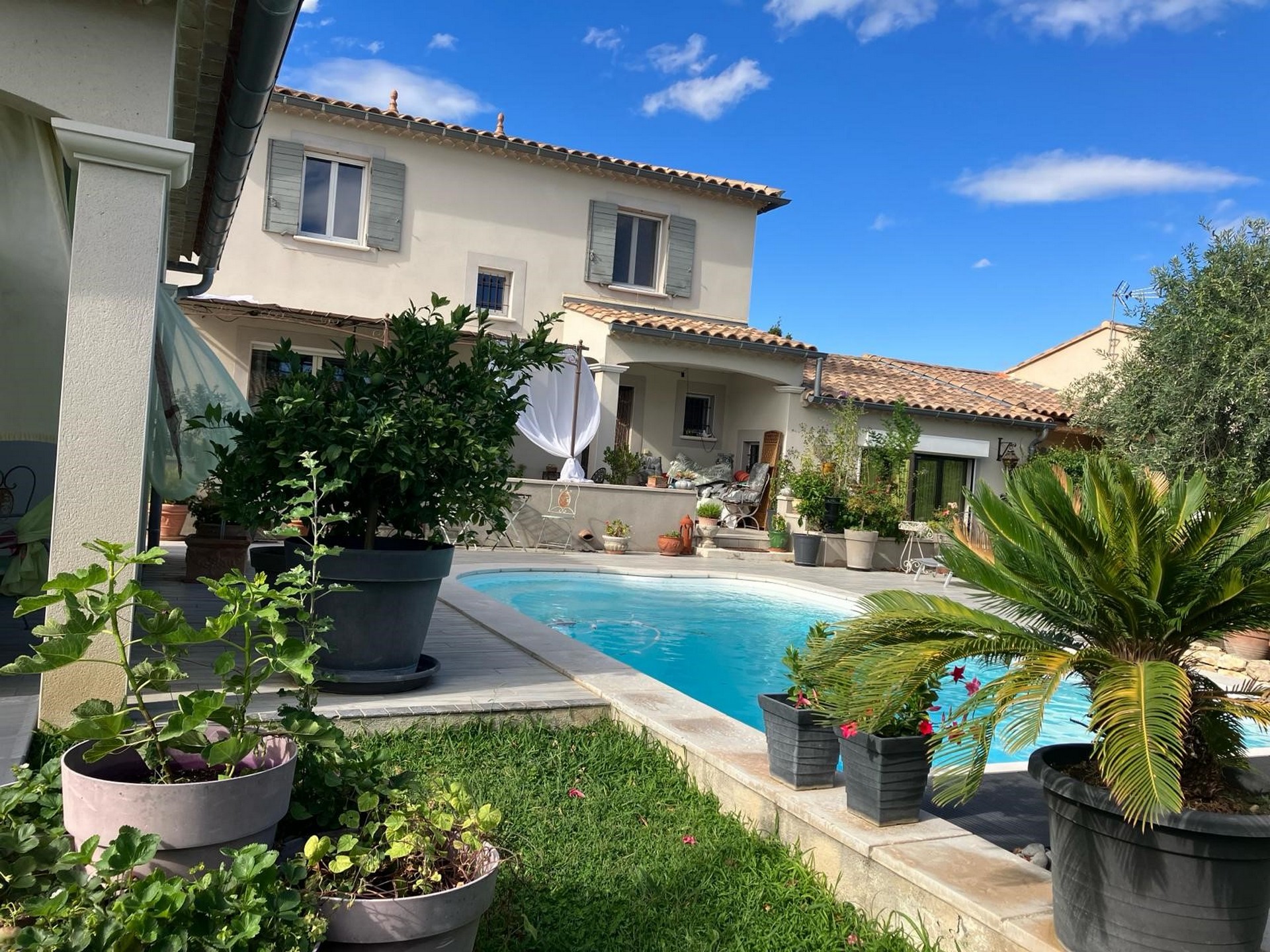 Une Amazone en Provence, Paradou - photo 3