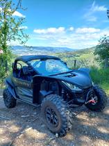 Buggy