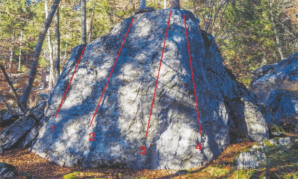 Blocs d'escalade du Plateau d'Assy_Passy