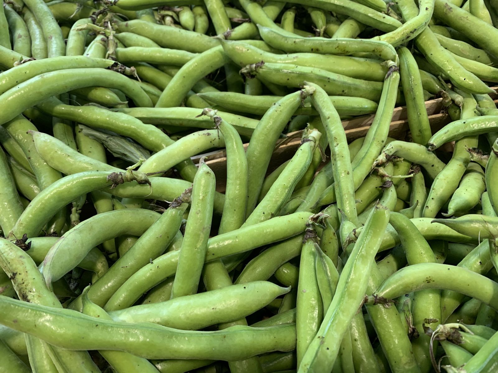 Foire et marché Mirambeau