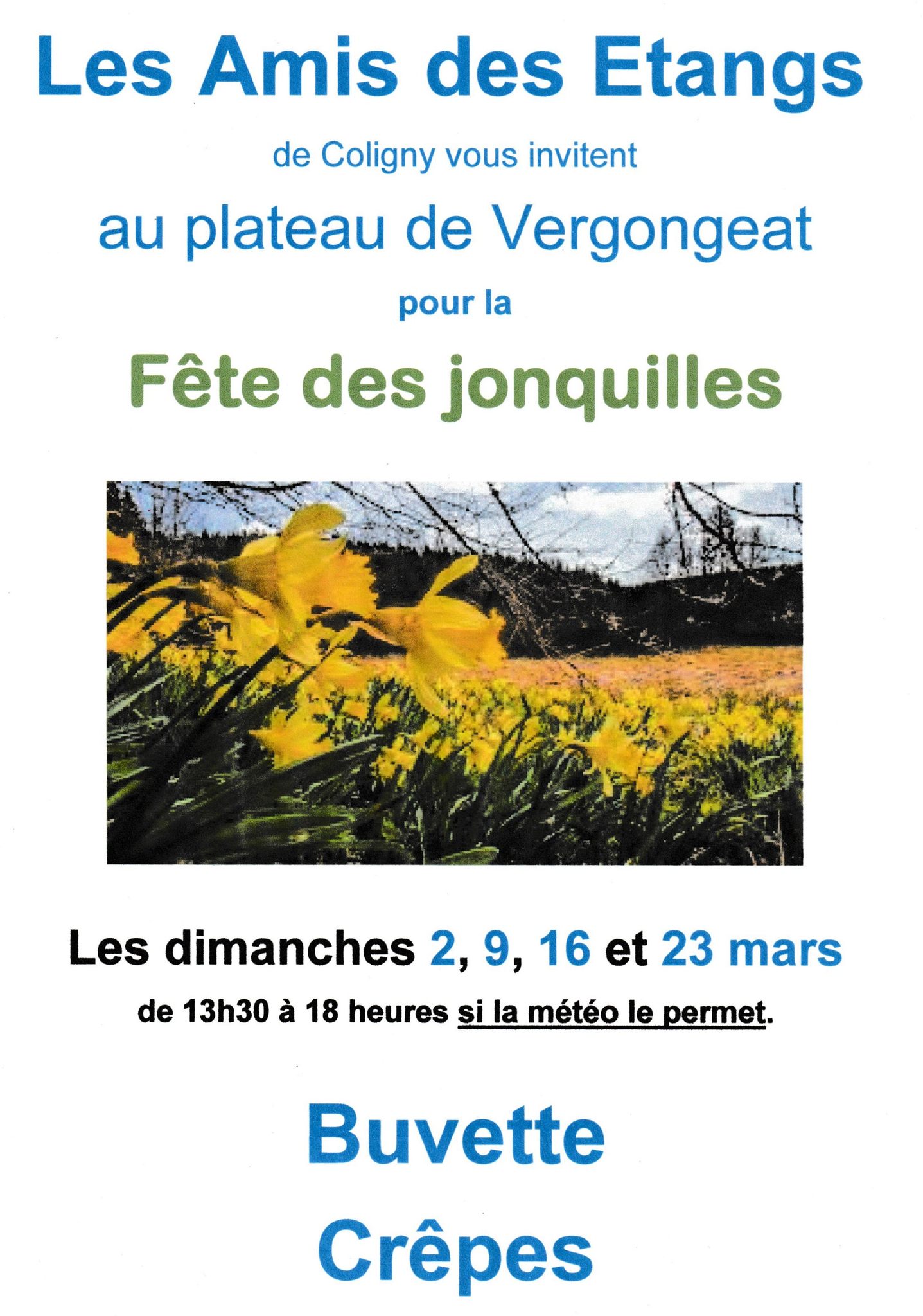 Fête des jonquilles_Coligny