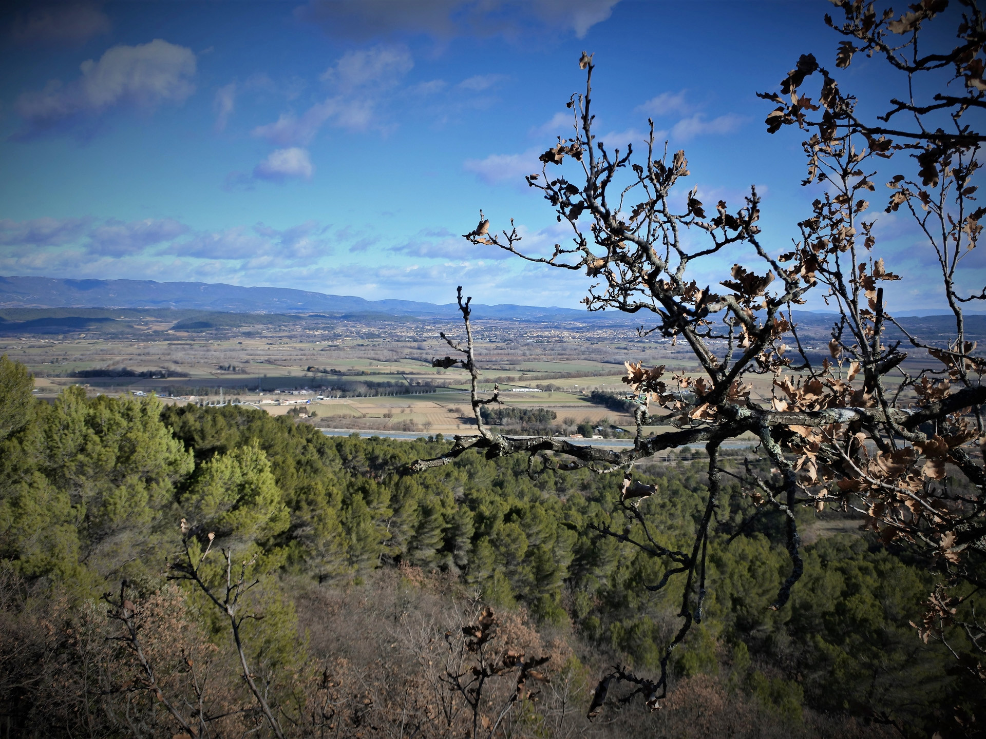 Le vignoble aixois, le vignoble des bastides - La Trévaresse et Plateau de Puyricard