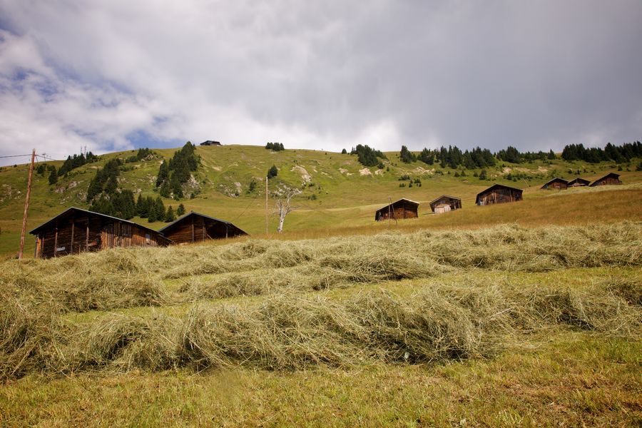 les-foins-aux-pachons