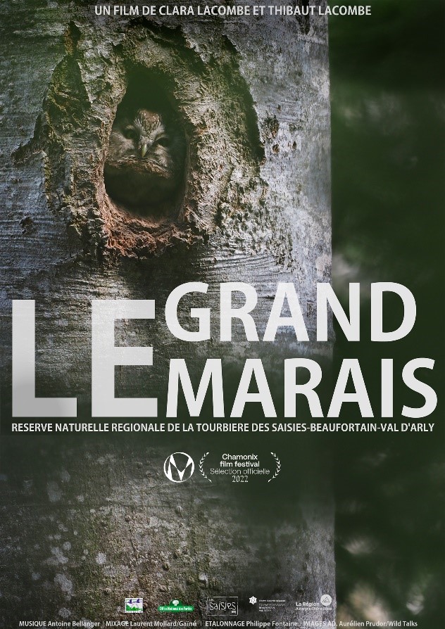 Projection de film et échange avec les réalisateurs : Le grand marais
