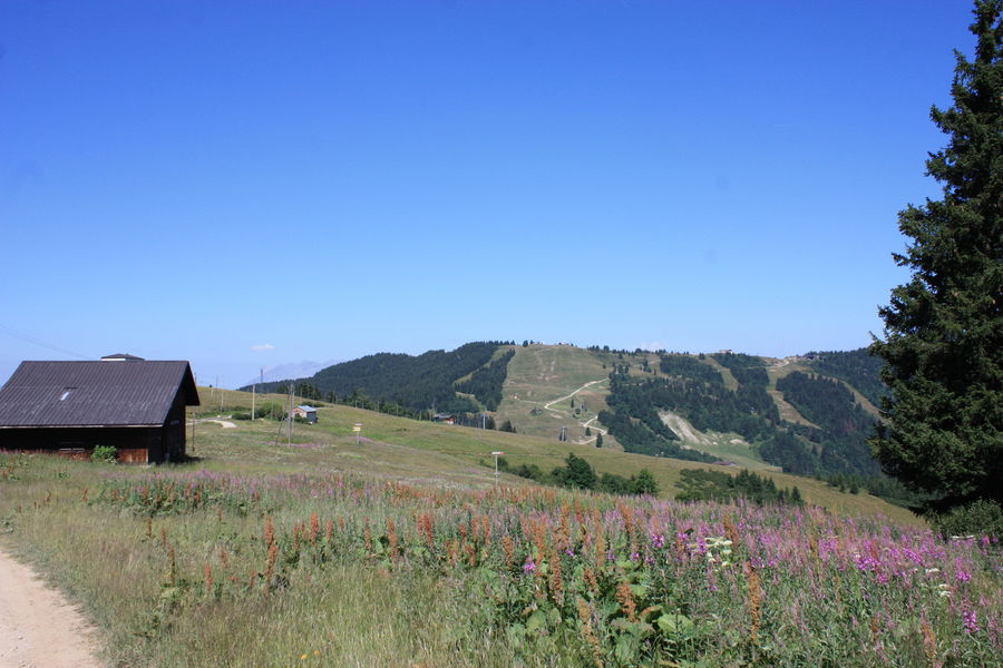 Randonnée Les Houches