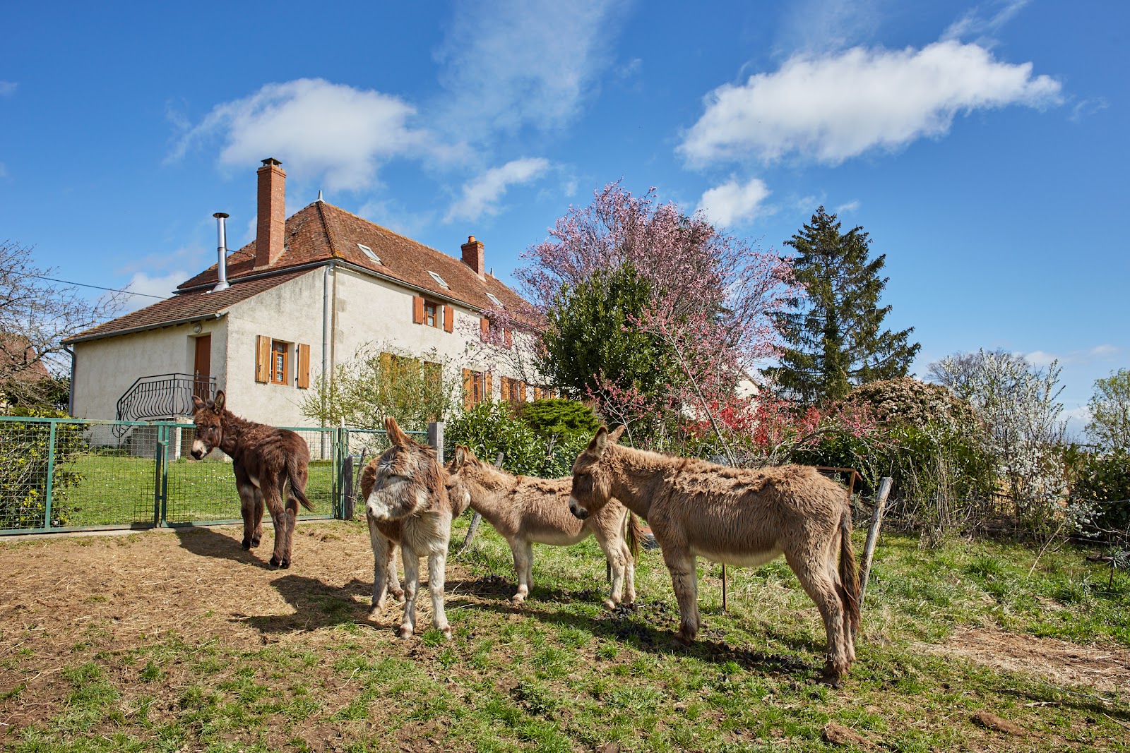 Chez Stéph'Ânes