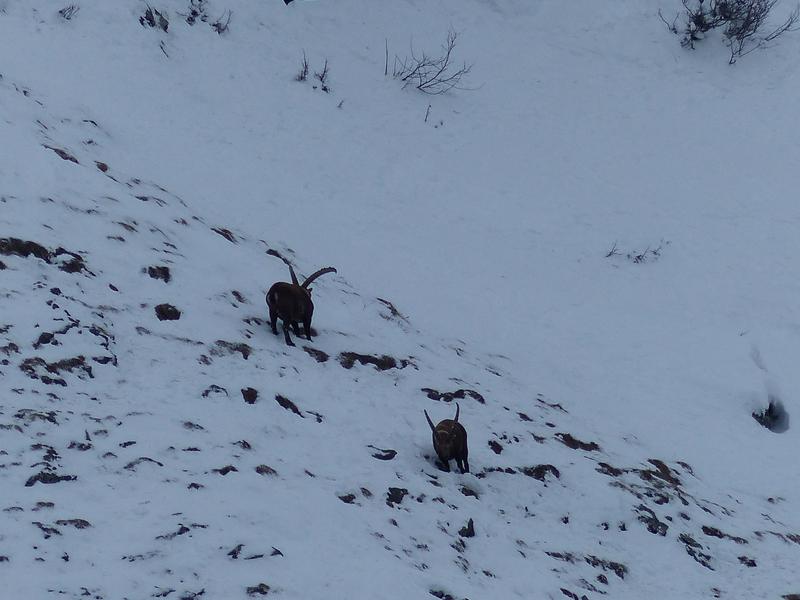 Raquettes à neige : Nuitée en refuge gardé dans le Parc national de la Vanoise_Aussois