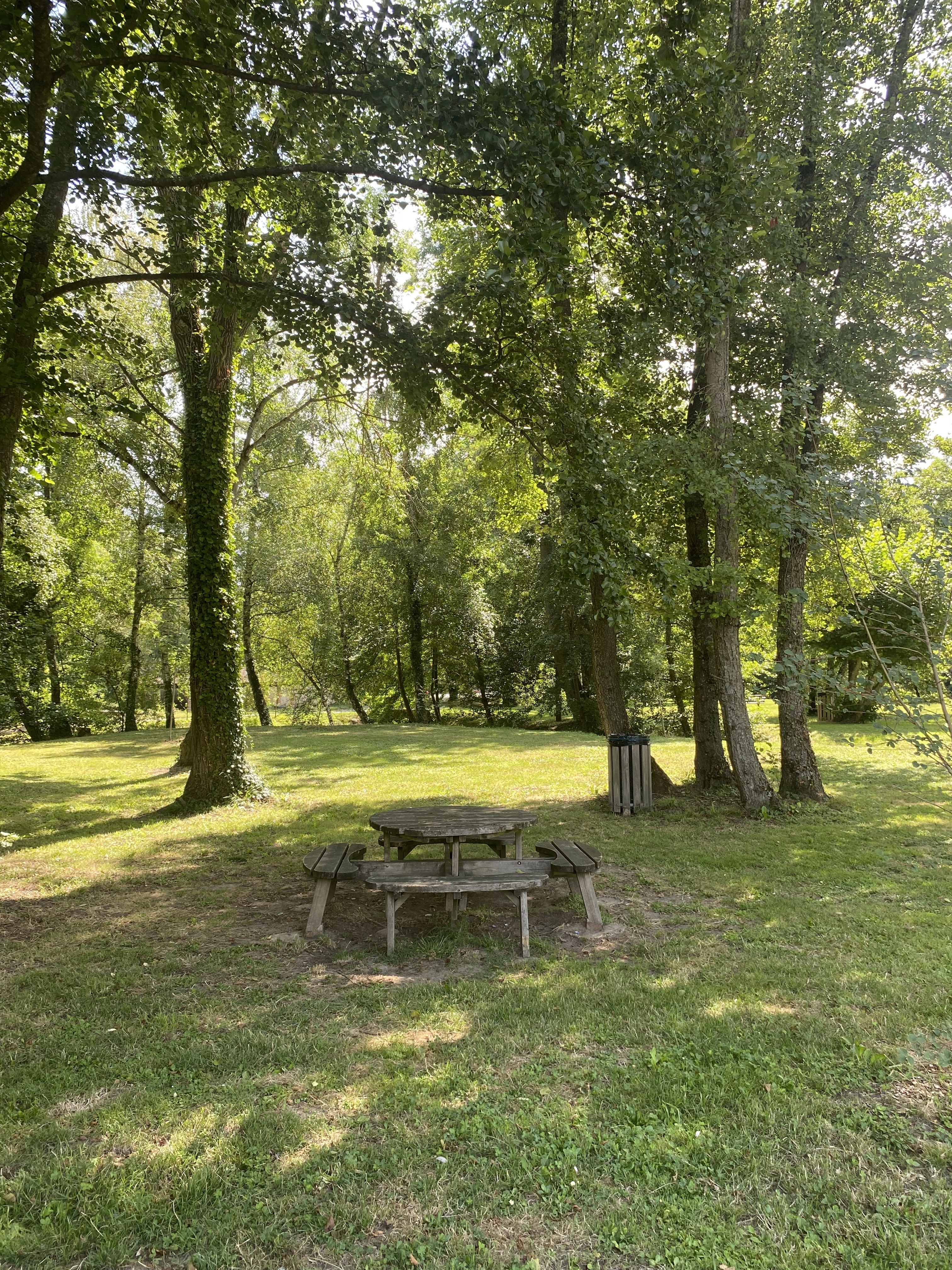 Table de pique-nique
