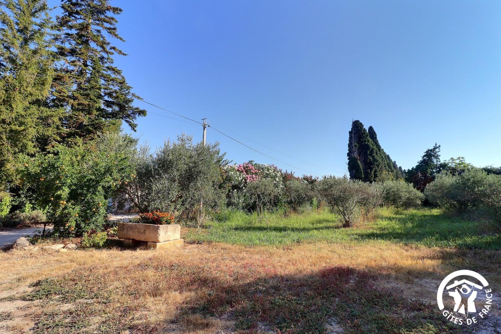 Le Mas des Cigales, Plan-d'Orgon - photo 3