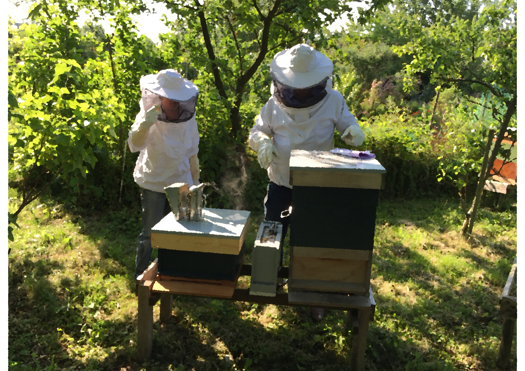 Baptême d’apiculture au Parc de l'Estuaire !