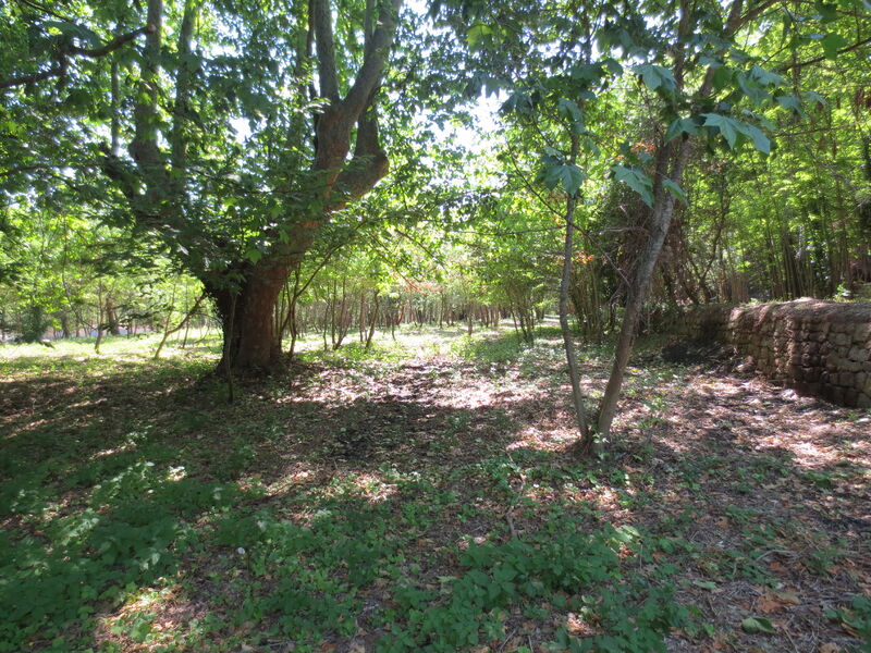 Parc Terre Rousse à Collobrières