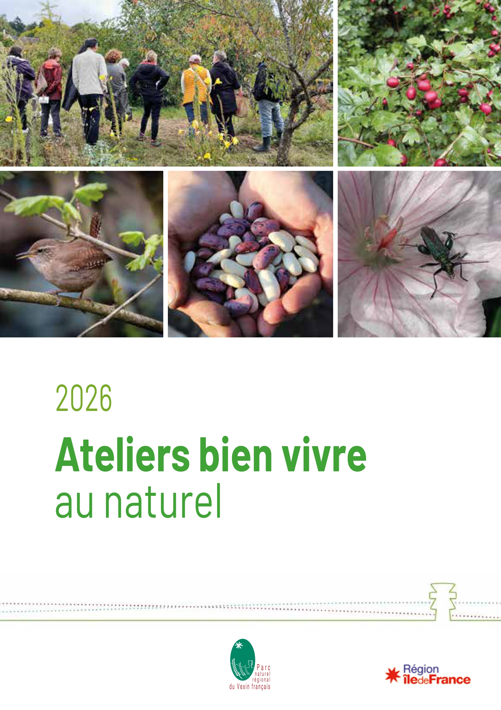 Le gazon, écrin de nos jardins