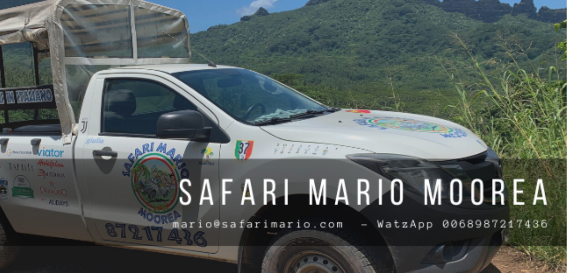 Safari Mario Moorea