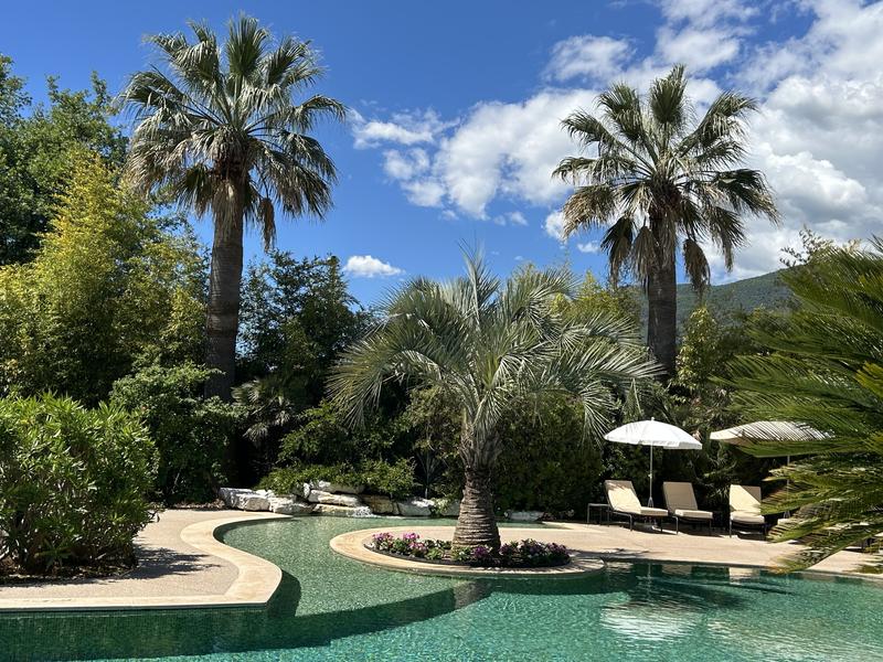 piscine lagon commune avec pataugeoire et cascade