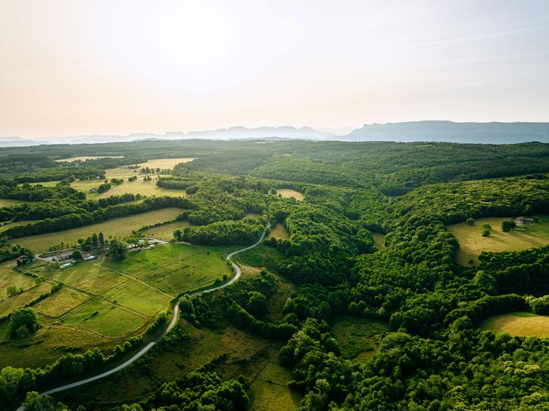 Les Chemins de Mandrin - Chambaran