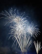Feu d’artifice du 12 juillet de Terrenoire_Saint-Étienne