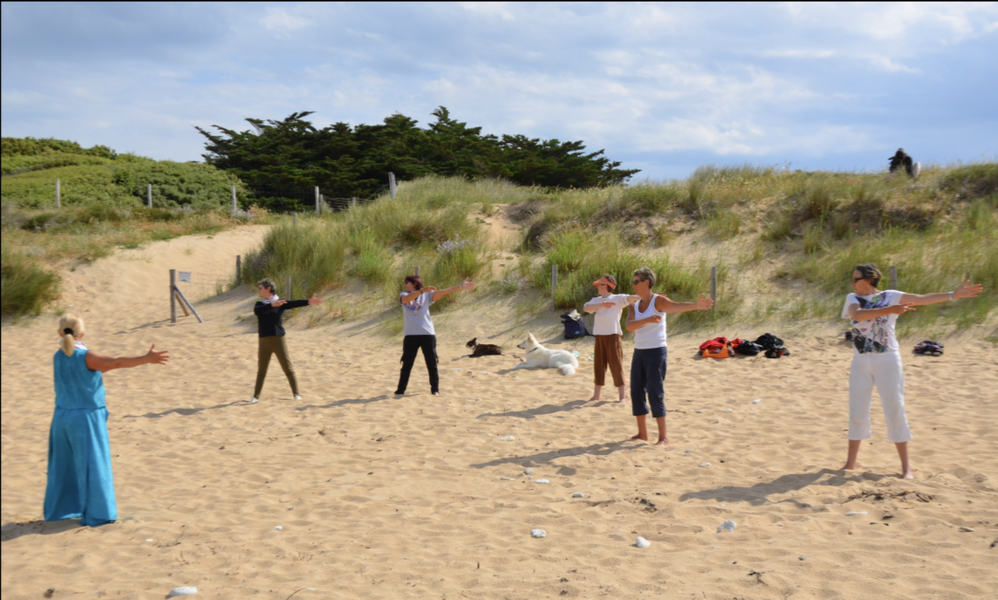 Qi gong par Moovia Energy