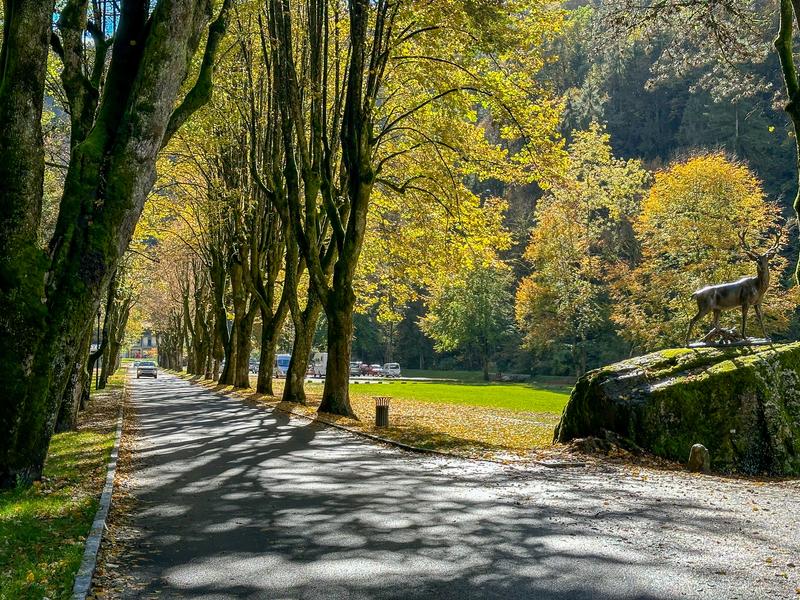 Parcours d'orientation Parc Thermal_Saint-Gervais-les-Bains