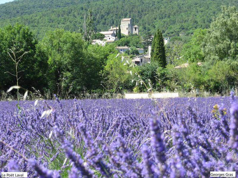 Le Poët Laval en Drôme Provençale