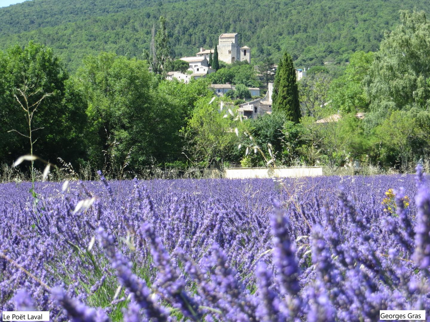 Le Poët Laval en Drôme Provençale