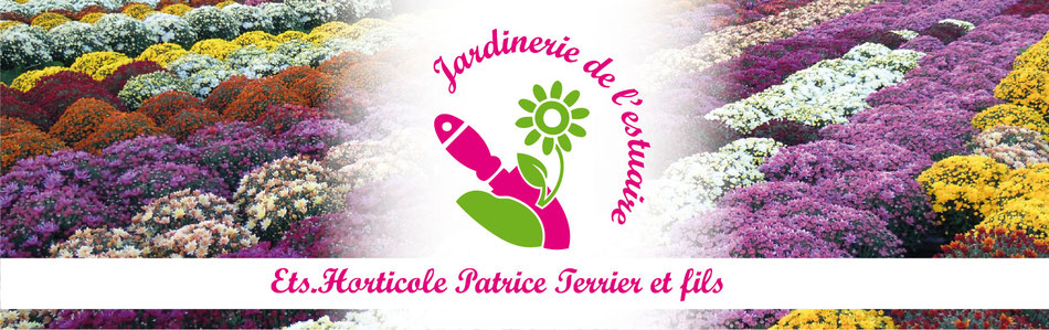 Jardinerie de l'Estuaire - Terrier Patrice