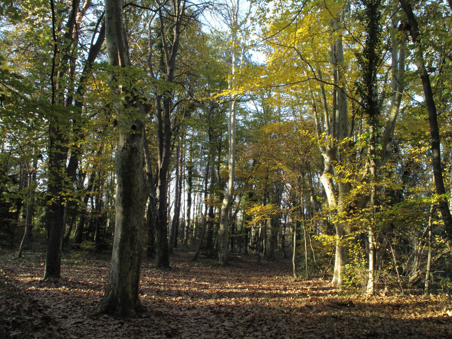 Parc Départemental de l'Arbois, Aix-en-Provence - photo 3