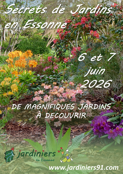 Affiche 1