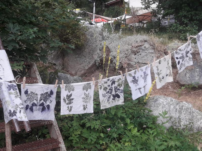 Atelier : Herbier sur tissu