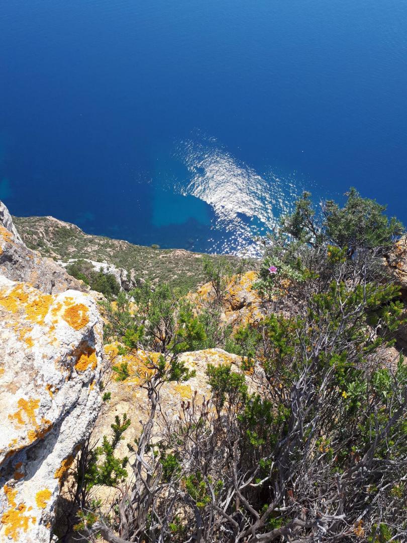 Osez Adélaïde, La Ciotat - photo 10