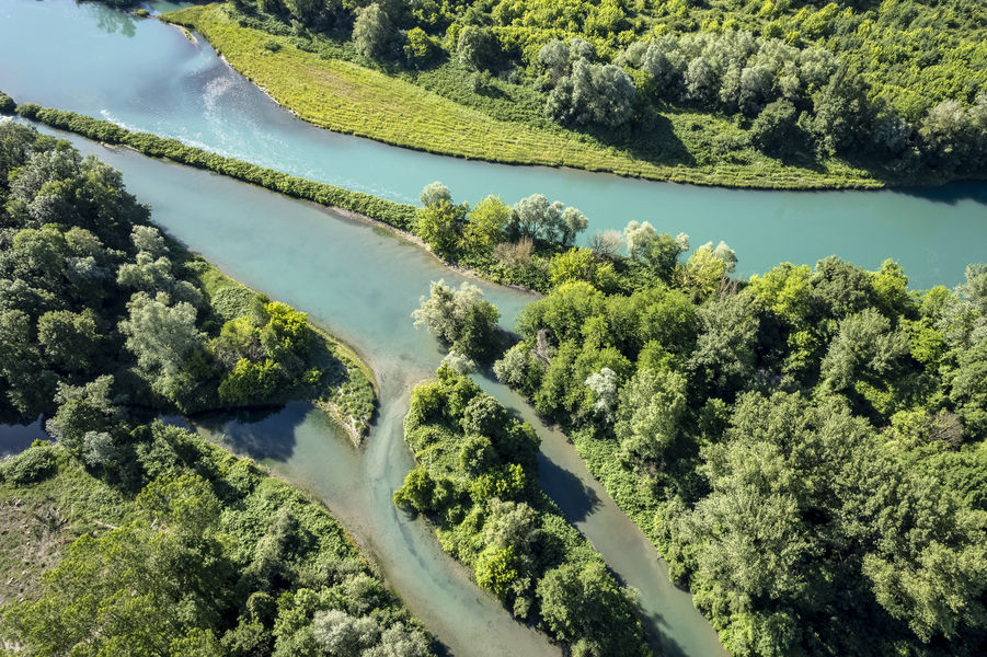 Réserve Naturelle Régionale du Haut Rhône Français