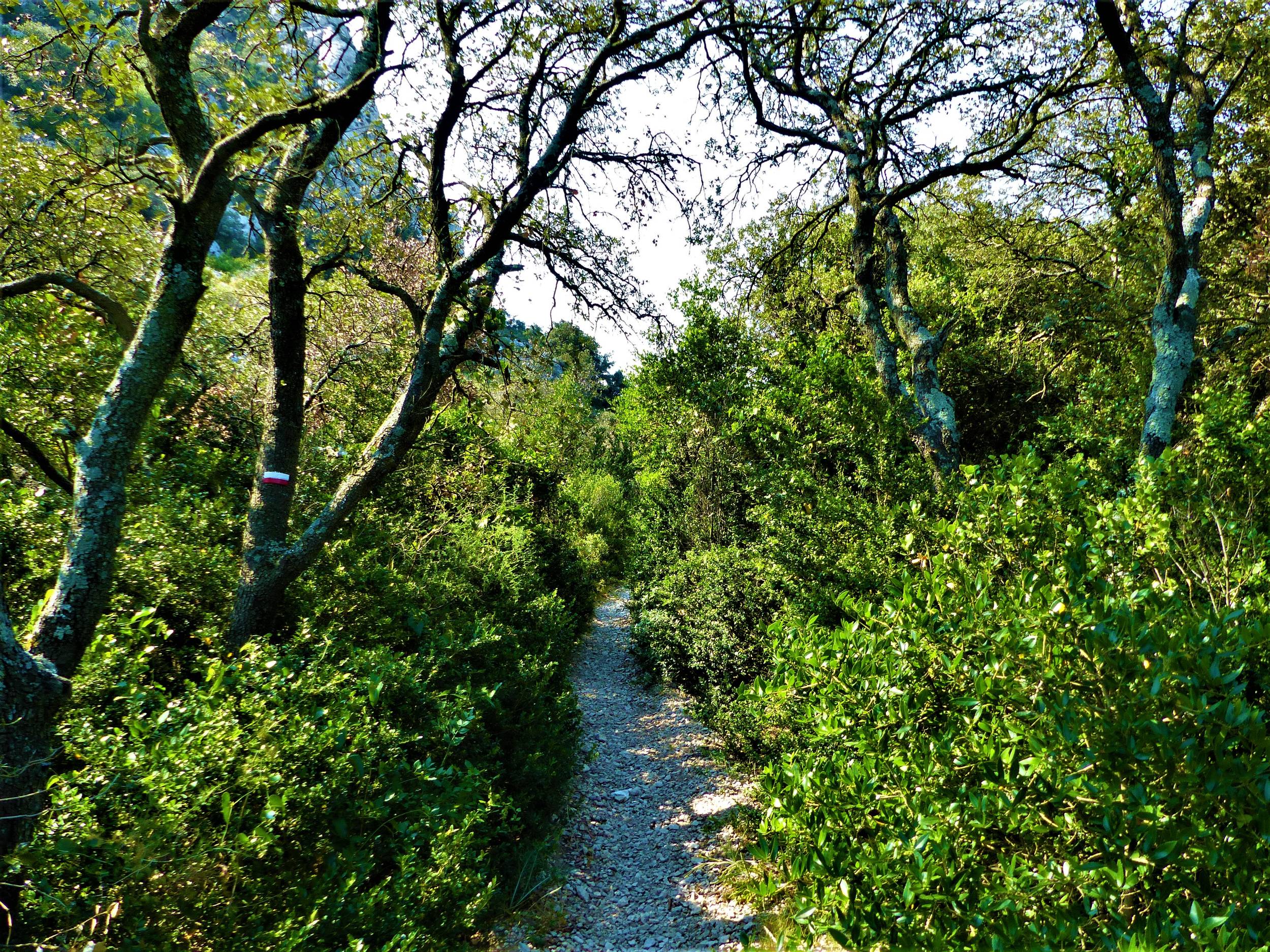 EYGALIÈRES - Balade du Petit Calan — photo 2