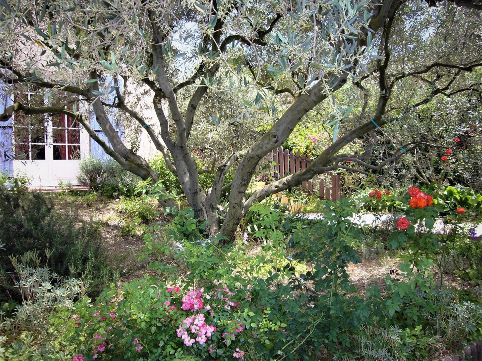 L'Olivade, Eyragues - photo 38