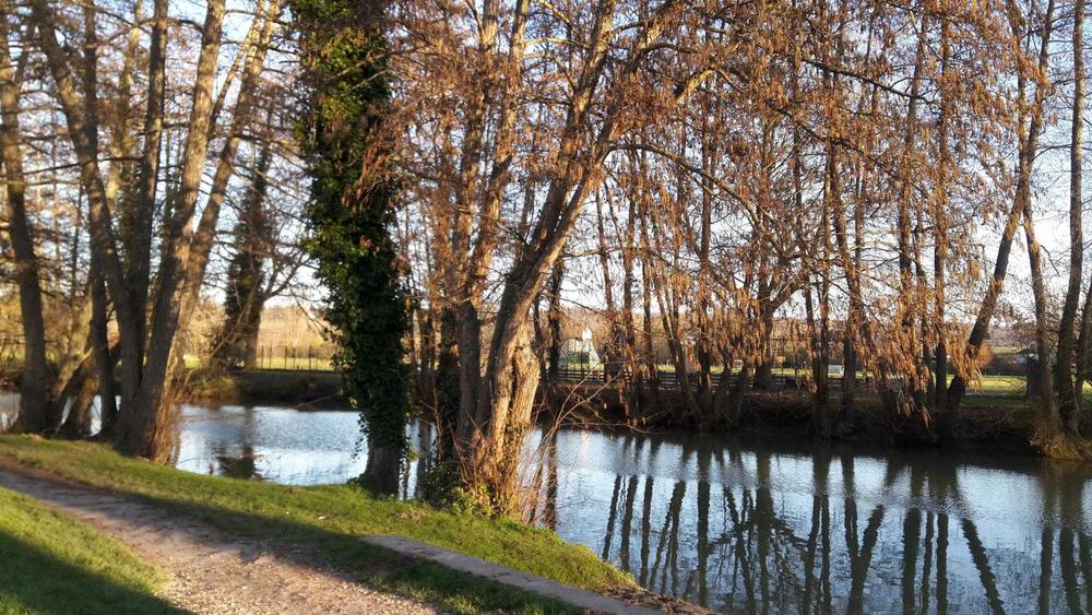 Le Grand Morin à Crécy la Chapelle Le Grand Morin à Crécy la Chapelle
