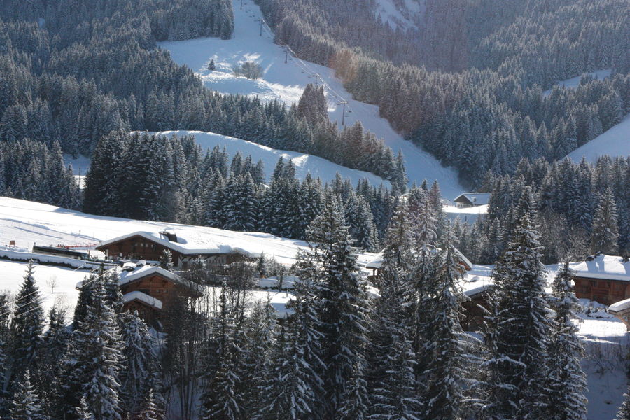chalets_sapins