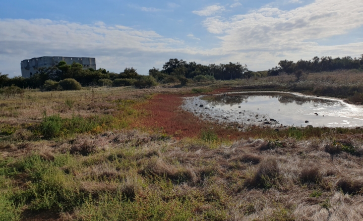 A la découverte de la pointe du Grouin avec les écogardes