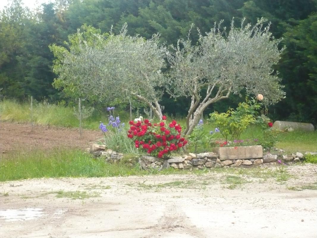 Le Mas des Cigales, Plan-d'Orgon - photo 10