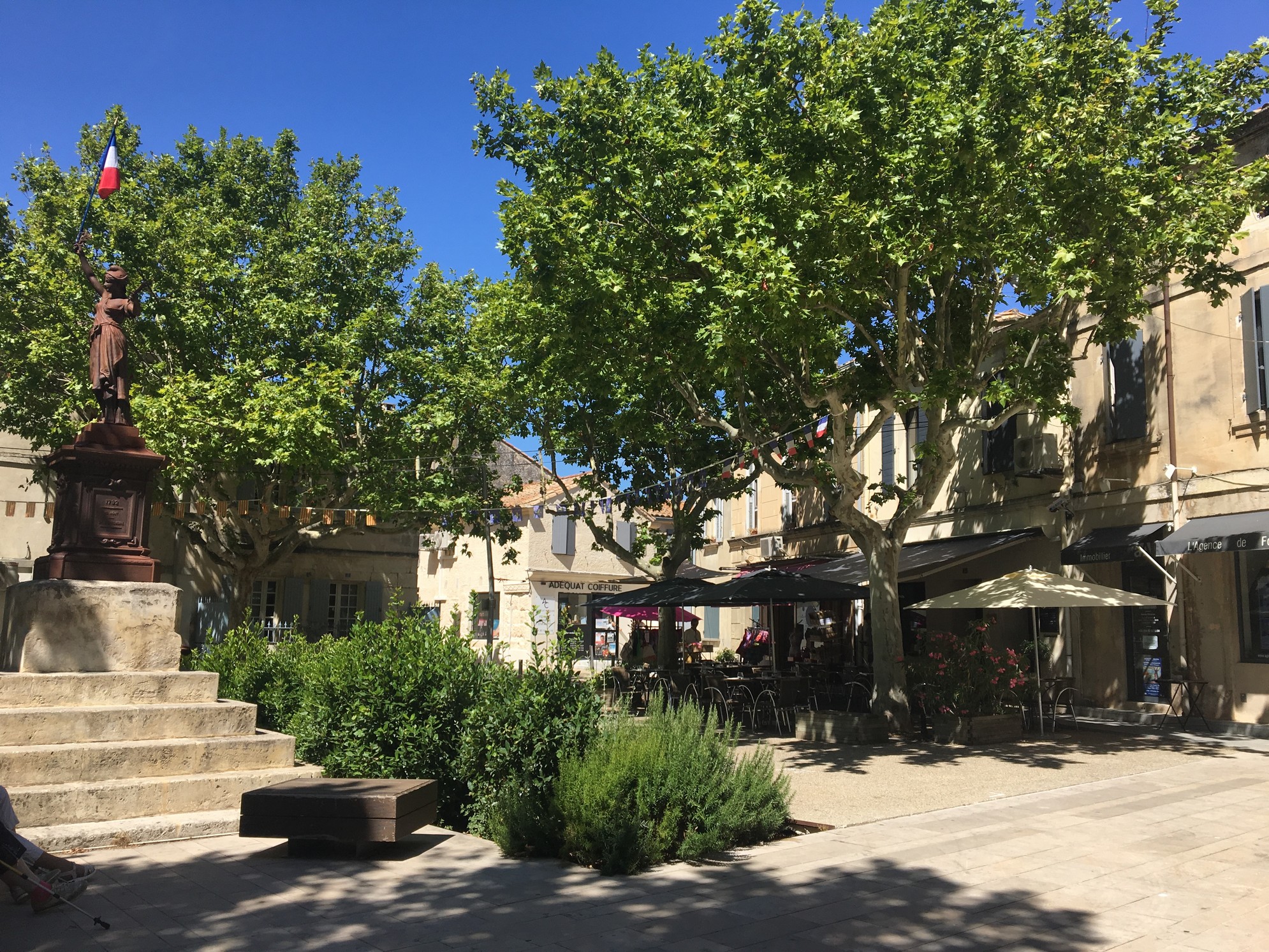 L'Ami Provençal - photo 2