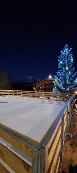 Patinoire la nuit face au sapin illuminé Patinoire la nuit face au sapin illuminé